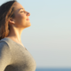 Cognitive hypnotherapy in Colchester and online