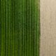 Random landscape pattern